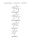 NUCLEIC ACID BASE PAIRS diagram and image