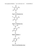 NUCLEIC ACID BASE PAIRS diagram and image