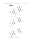 NUCLEIC ACID BASE PAIRS diagram and image