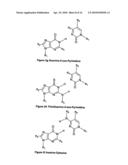 NUCLEIC ACID BASE PAIRS diagram and image