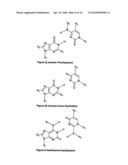 NUCLEIC ACID BASE PAIRS diagram and image