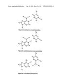 NUCLEIC ACID BASE PAIRS diagram and image