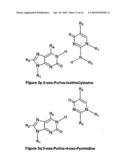 NUCLEIC ACID BASE PAIRS diagram and image