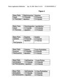 NUCLEIC ACID BASE PAIRS diagram and image