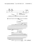 METHODS FOR AMPLIFYING AND DETECTING NUCLEIC ACID SEQUENCES diagram and image