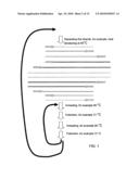METHODS FOR AMPLIFYING AND DETECTING NUCLEIC ACID SEQUENCES diagram and image