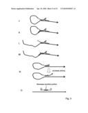 METHODS FOR AMPLIFYING AND DETECTING NUCLEIC ACID SEQUENCES diagram and image