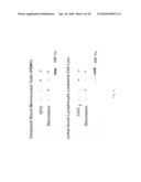 Methods of identifying respondents to hypoxia inducible factor 1-alpha inhibitors diagram and image