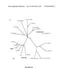 Compositions And Methods Of A Phosphatidic Acid Binding Protein diagram and image