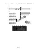 Compositions And Methods Of A Phosphatidic Acid Binding Protein diagram and image