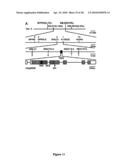 Compositions And Methods Of A Phosphatidic Acid Binding Protein diagram and image