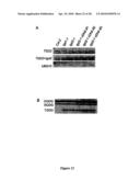 Compositions And Methods Of A Phosphatidic Acid Binding Protein diagram and image