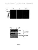 Compositions And Methods Of A Phosphatidic Acid Binding Protein diagram and image