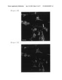 TWO-PHOTON PROBE FOR REAL-TIME MONITORING OF INTRACELLULAR CALCIUM IONS, METHOD FOR PREPARING THE PROBE AND METHOD FOR REAL-TIME MONITORING OF INTRACELLULAR CALCIUM IONS USING THE PROBE, diagram and image