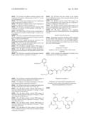 TWO-PHOTON PROBE FOR REAL-TIME MONITORING OF INTRACELLULAR CALCIUM IONS, METHOD FOR PREPARING THE PROBE AND METHOD FOR REAL-TIME MONITORING OF INTRACELLULAR CALCIUM IONS USING THE PROBE, diagram and image