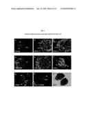 MULTIPOTENT/PLURIPOTENT CELLS AND METHODS diagram and image