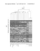 MULTIPOTENT/PLURIPOTENT CELLS AND METHODS diagram and image