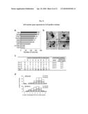 MULTIPOTENT/PLURIPOTENT CELLS AND METHODS diagram and image