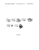 MULTIPLY-PRIMED AMPLIFICATION OF CIRCULAR NUCLEIC ACID SEQUENCES diagram and image