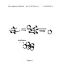 MULTIPLY-PRIMED AMPLIFICATION OF CIRCULAR NUCLEIC ACID SEQUENCES diagram and image