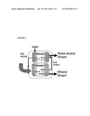 ALCOHOL PRODUCTION PROCESS diagram and image