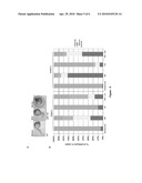 PHOTOCLEAVABLE SENSE-ANTISENSE COMPLEX diagram and image