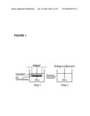 POROUS MEMBRANE DEVICE THAT PROMOTES THE DIFFERENTIATION OF MONOCYTES INTO DENDRITIC CELLS diagram and image