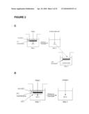 POROUS MEMBRANE DEVICE THAT PROMOTES THE DIFFERENTIATION OF MONOCYTES INTO DENDRITIC CELLS diagram and image