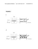 POROUS MEMBRANE DEVICE THAT PROMOTES THE DIFFERENTIATION OF MONOCYTES INTO DENDRITIC CELLS diagram and image