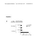 POROUS MEMBRANE DEVICE THAT PROMOTES THE DIFFERENTIATION OF MONOCYTES INTO DENDRITIC CELLS diagram and image