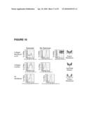 POROUS MEMBRANE DEVICE THAT PROMOTES THE DIFFERENTIATION OF MONOCYTES INTO DENDRITIC CELLS diagram and image