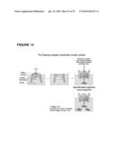 POROUS MEMBRANE DEVICE THAT PROMOTES THE DIFFERENTIATION OF MONOCYTES INTO DENDRITIC CELLS diagram and image