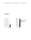 POROUS MEMBRANE DEVICE THAT PROMOTES THE DIFFERENTIATION OF MONOCYTES INTO DENDRITIC CELLS diagram and image