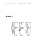 POROUS MEMBRANE DEVICE THAT PROMOTES THE DIFFERENTIATION OF MONOCYTES INTO DENDRITIC CELLS diagram and image