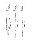 CHIMERIC T-CELL RECEPTORS AND T-CELLS TARGETING EGFRVIII ON TUMORS diagram and image