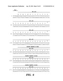 CHIMERIC T-CELL RECEPTORS AND T-CELLS TARGETING EGFRVIII ON TUMORS diagram and image