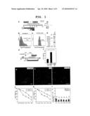 METHOD FOR INDUCTION/DIFFERENTIATION INTO PHOTORECEPTOR CELL diagram and image