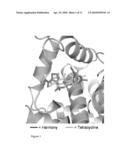 Sulfonylurea-Responsive Repressor Proteins diagram and image