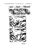 Novel Druggable Regions in the Dengue Virus Envelope Glycoprotein and Methods of Using the Same diagram and image