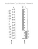 SEMICONDUCTOR INTEGRATED CIRCUIT DEVICE HAVING IMPROVED PUNCH-THROUGH RESISTANCE AND PRODUCTION METHOD THEREOF, SEMICONDUCTOR INTEGRATED CIRCUIT DEVICE INCLUDING A LOW-VOLTAGE TRANSISTOR AND HIGH-VOLTAGE TRANSISTOR diagram and image