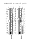 SEMICONDUCTOR INTEGRATED CIRCUIT DEVICE HAVING IMPROVED PUNCH-THROUGH RESISTANCE AND PRODUCTION METHOD THEREOF, SEMICONDUCTOR INTEGRATED CIRCUIT DEVICE INCLUDING A LOW-VOLTAGE TRANSISTOR AND HIGH-VOLTAGE TRANSISTOR diagram and image