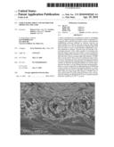 STRETCHABLE SHEET AND METHOD FOR PRODUCING THE SAME diagram and image