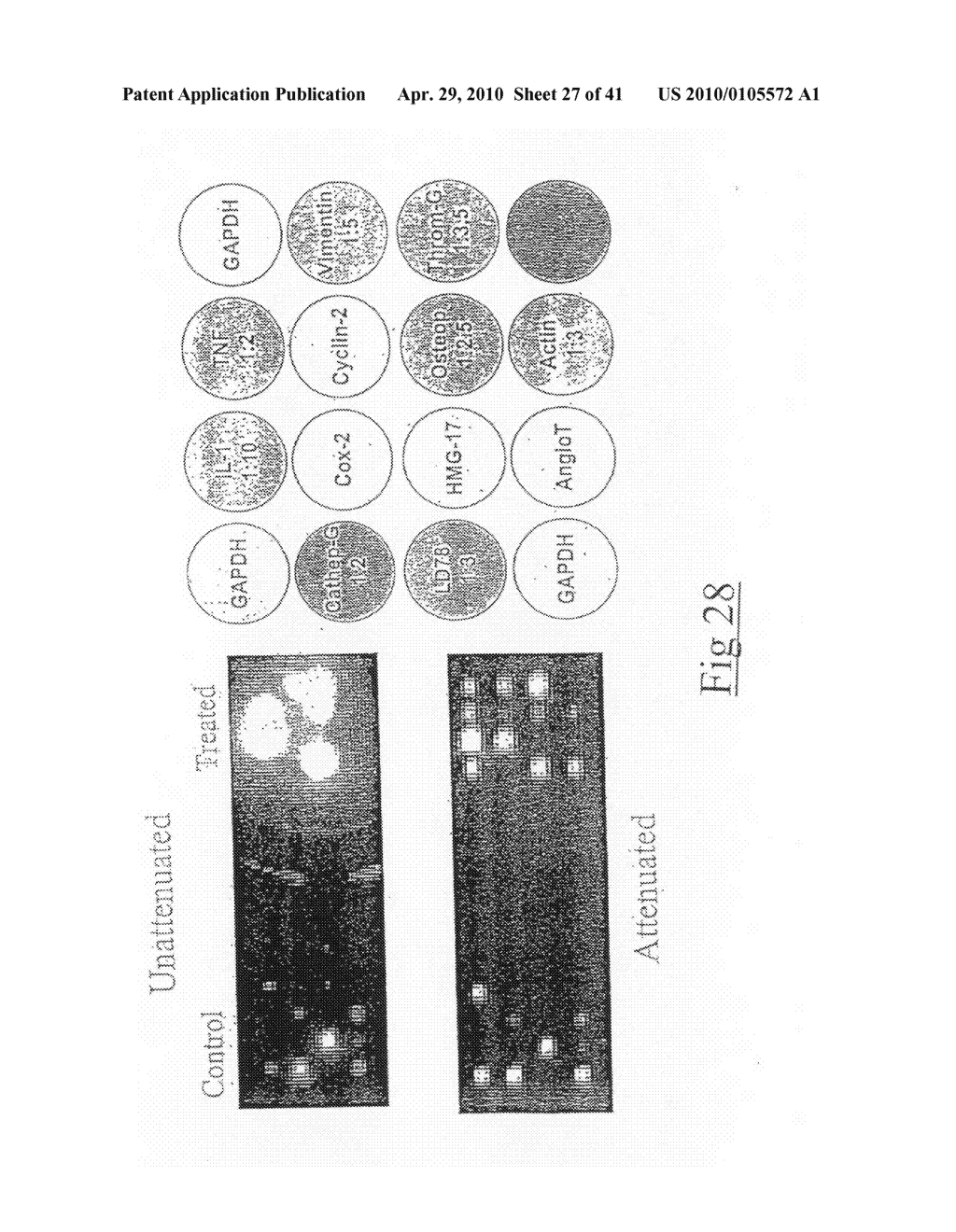 HIGH THROUGHPUT ASSAY SYSTEM - diagram, schematic, and image 28