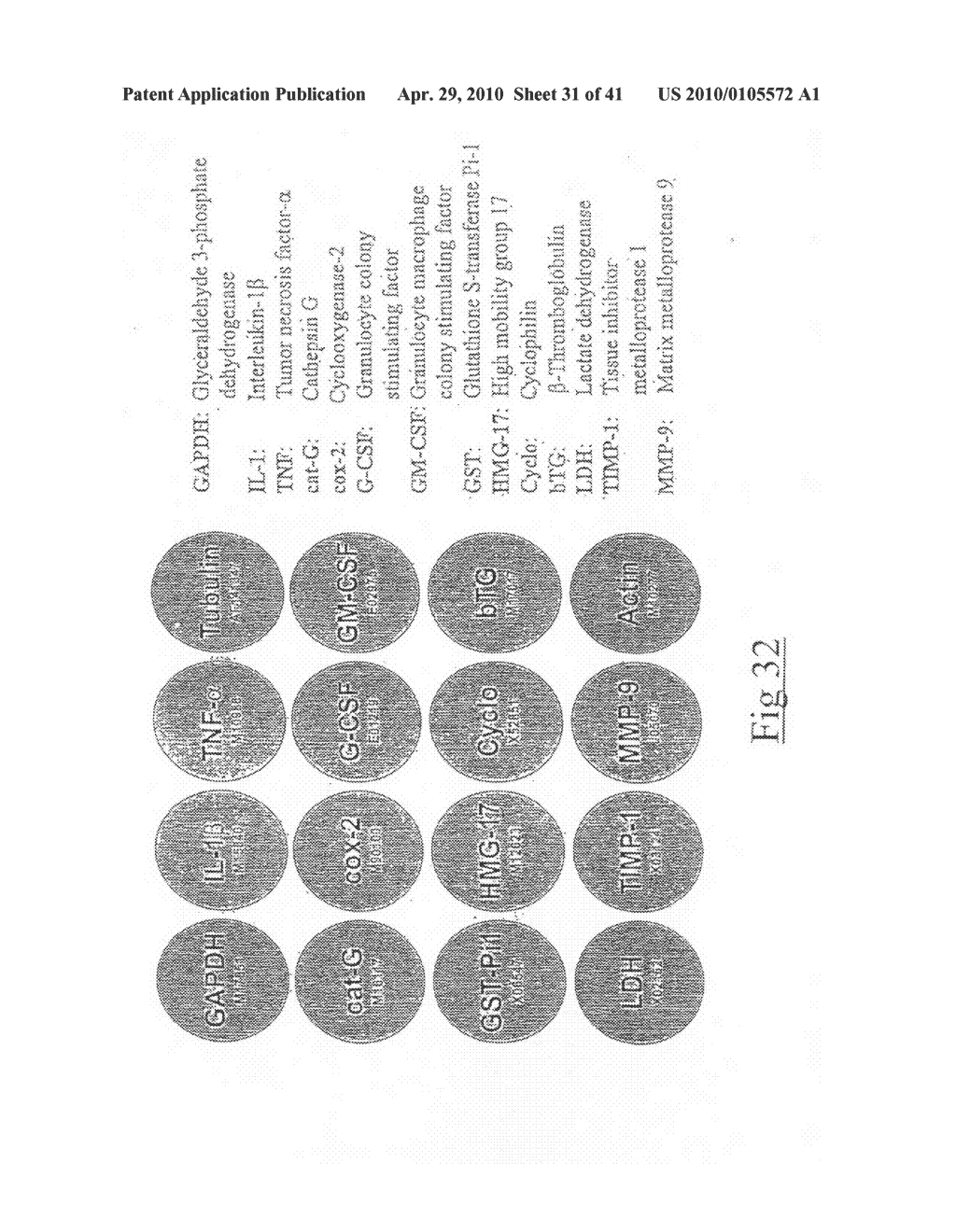 HIGH THROUGHPUT ASSAY SYSTEM - diagram, schematic, and image 32