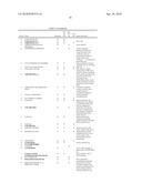 CANCER STEM CELLS AND USES THEREOF diagram and image