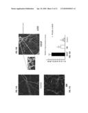 THERAPEUTIC AGENT FOR OCCLUSIVE PERIPHERAL VASCULAR DISEASE, AND USE THEREOF diagram and image