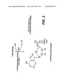 Use of anabolic agents, anti-catabolic agents, antioxidant agents, and analgesics for protection, treatment and repair of connective tissues in humans and animals diagram and image