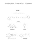 Use of anabolic agents, anti-catabolic agents, antioxidant agents, and analgesics for protection, treatment and repair of connective tissues in humans and animals diagram and image