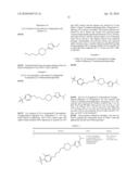 PIPERIDINE GPCR AGONISTS diagram and image