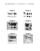 Nucleic acids and proteins from streptococcus groups a & b diagram and image